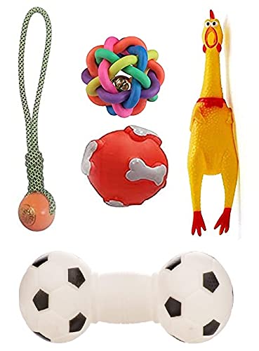 PSK PET MART Squeaky, Chew Teether Toys for Dog/Puppy  Squeaky Pig + Plastic Handle Ball + Squeaky Hen Big + Rainbow Ball (S) +