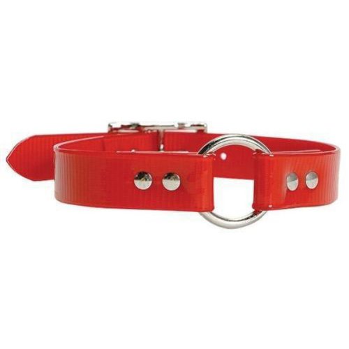 Omnipet Sunglo Ring-In-Center Dog Collar, 1' Wide, Red, Fits 12'- 15.5' Neck Sizes, Vibrant Colors & Tough Construction For A