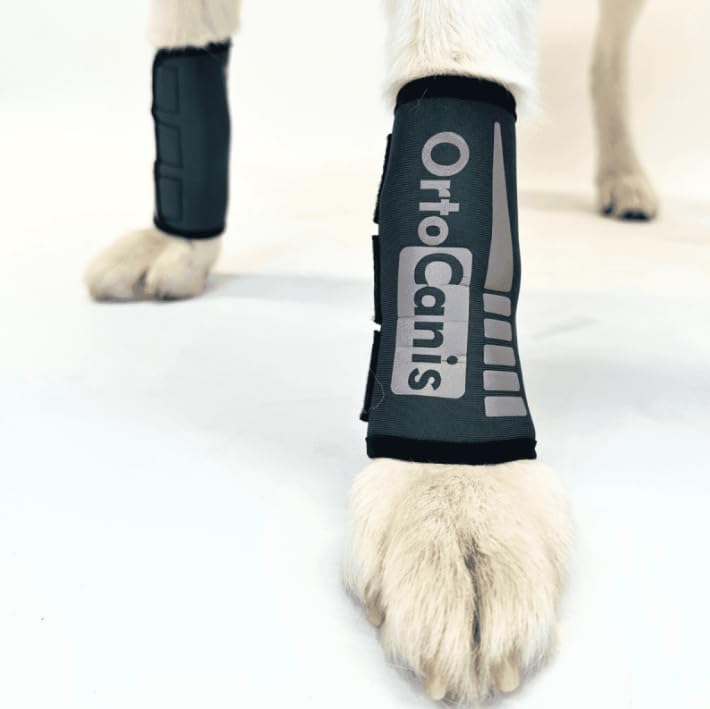 Ortocanis - Carpal Brace for Dogs with Arthrosis, Ligament or Tendon Injuries, or Agility Dogs, Size L