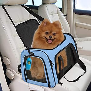 Rosebb Cat Carrier Dog Carrier Pet Carrier Cat Bags For Small Medium Cats Dogs Puppies Of 15 Lbs,Of Airline Approved Small Dog Bag Soft Sided,Collapsible Travel Puppy Carrier (Large, Blue)