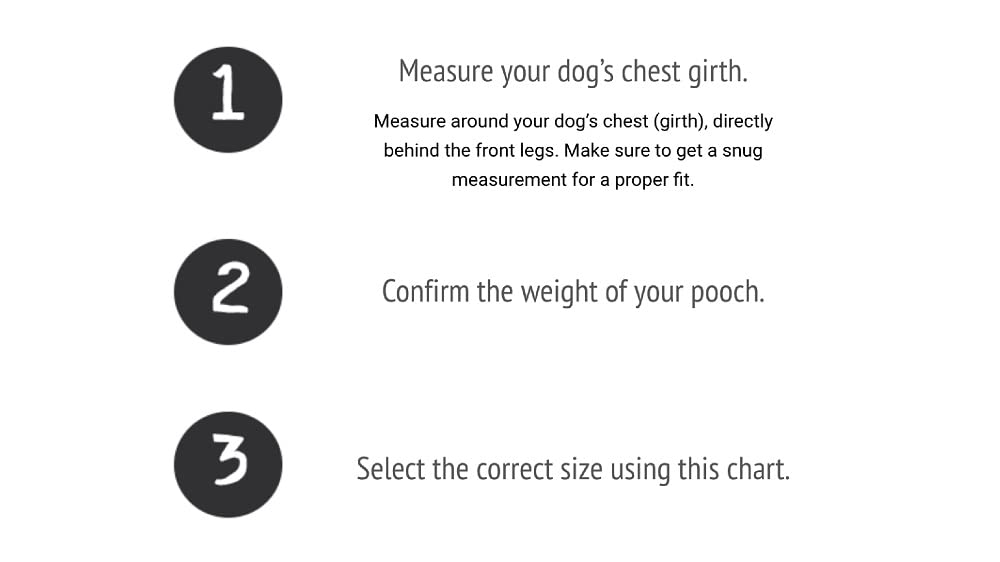 Buddy Belt Pebble Grain Accent Leather Nylon Leash Pink - Premium Edition (1/2' X 4')