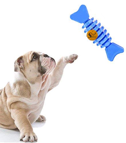 Sage Square Natural Rubber Bone Shape Toy Cum Tug Toy Cum Chew Toy For Dog/Puppy/Cat/Kitten (Blue)