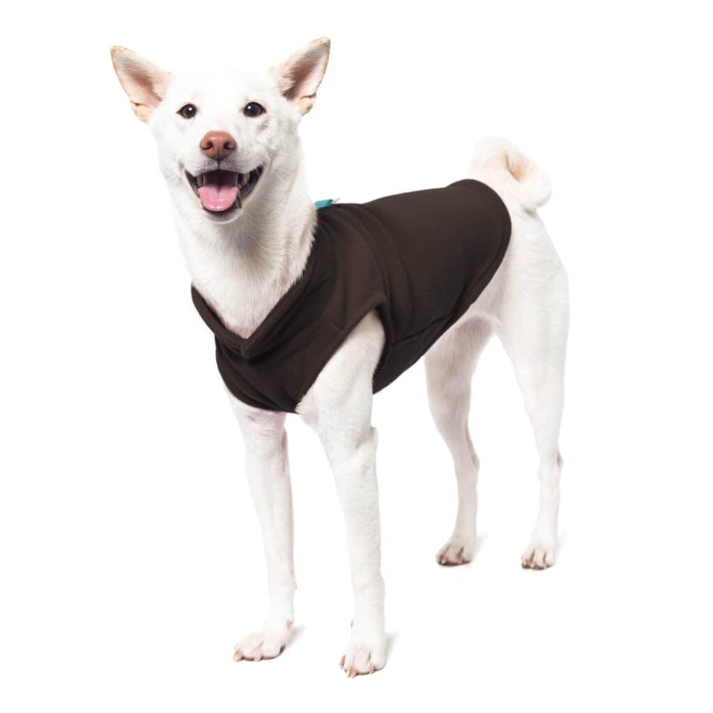 Gooby Fleece Vest Sweater - Brown-Turquoise, Large - Warm Pullover Jacket With O-Ring Leash - Winter Small Dog Coat - Cold Weath