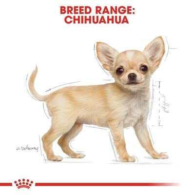 Royal Canin Chihuahua Puppy Dry Dog Food, 2.5 lb bag