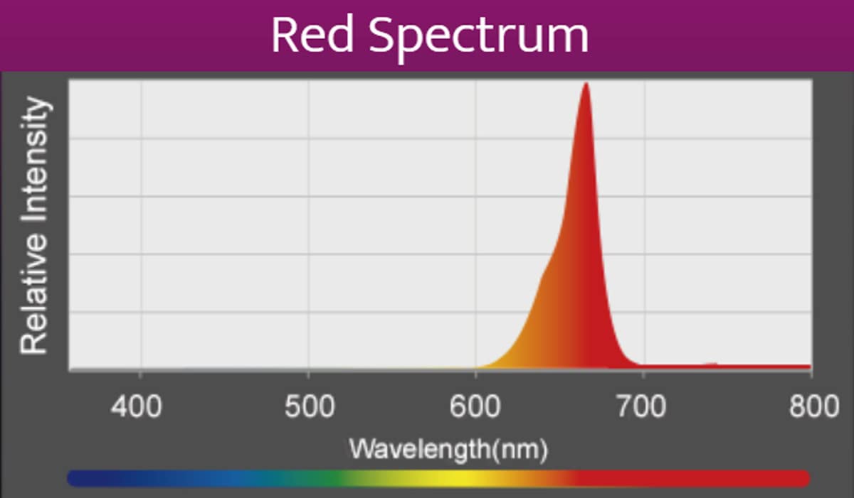 Kessil A360X Refugium Led Light