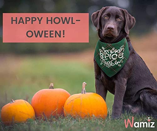 Thanksgiving Dog Bandana,Fall Bandanas For Puppy Cat Small Large Dogs