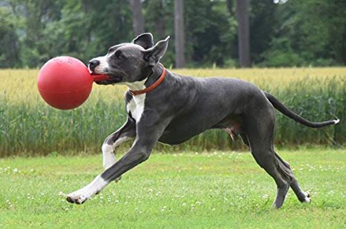 Jolly Pets Dog 6-Inch Tug-N-Toss, Red (406 Rd),6 Inches/Medium