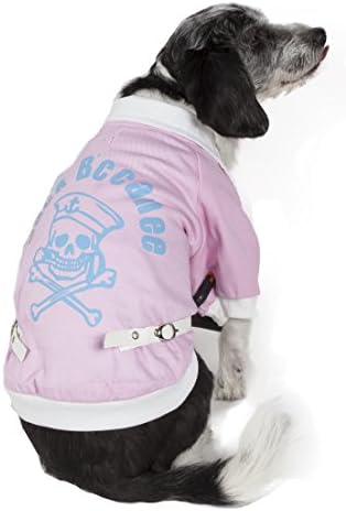 Vasitybuckled Collared Pet Coat