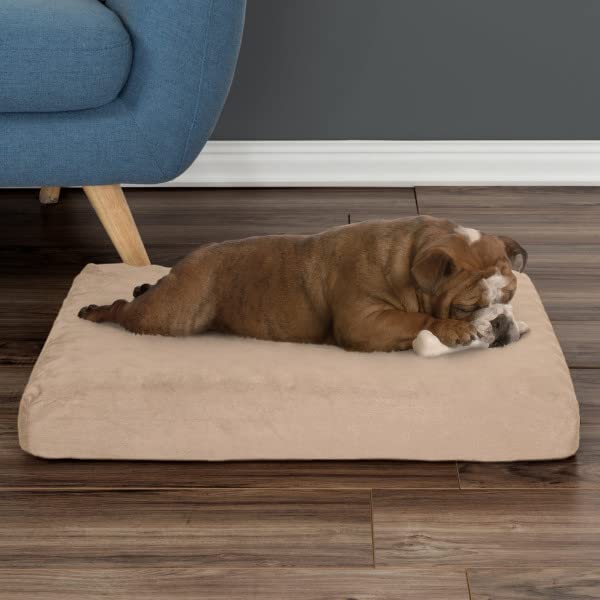 Memory Foam- 2-Layer Orthopedic Dog Bed with Machine Washable Cover - 26 x 19 for Medium Dogs up to 40lbs by PETMAKER (Tan)