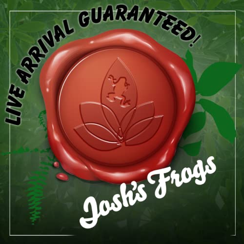 Joshs Frogs Hornworms Habitat Cup (25 Count Cup)