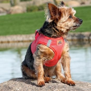 Doggie Design American River Choke Free Harness, Coral Medium