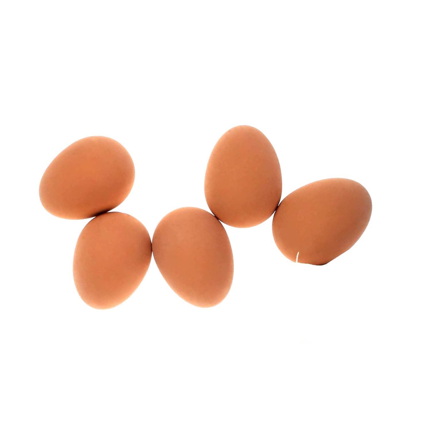 D&C PAWS NonToxic Playing Chewing Fetching Rubber Bouncing Egg Ball Toy for Playing and Chewing Dogs & Puppies (Set of 5)