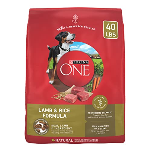 Purina ONE Dry Dog Food Lamb and Rice Formula - 40 lb Bag, High-Quality Nutrition for Dogs