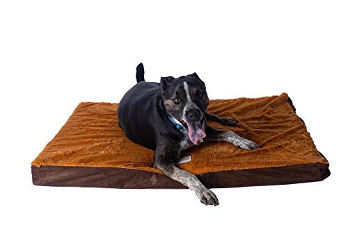 Armarkat Memory Foam Orthopedic Pet Bed Pad In Mocha And Brown, 39-Inch By 28-Inch By 3-Inch