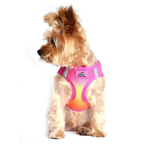 Doggie Design Dog Harness - No Choke Dog Harness, Dog Vest, Mesh Polyester, Pet Harness, Simple Step In And Go Design, Harness For Dog - Raspberry Pink And Orange - 2Xl