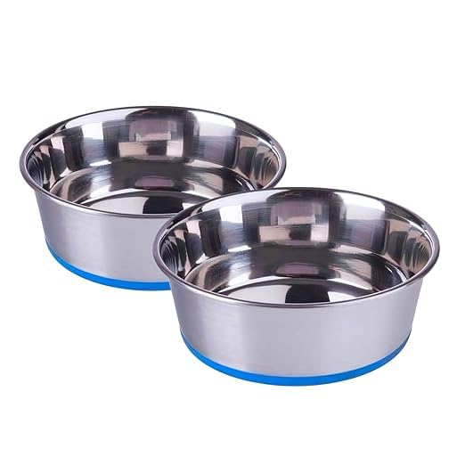 Pets Empire Cat Food Bowl | Stainless Steel Cats Bowl Small Size | Basic Pets Feeding Bowl| Perfect Choice For Cat & Kitten (2 X