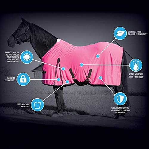 Weaver Leather CoolAid Equine Cooling Blanket (84, Turquoise)