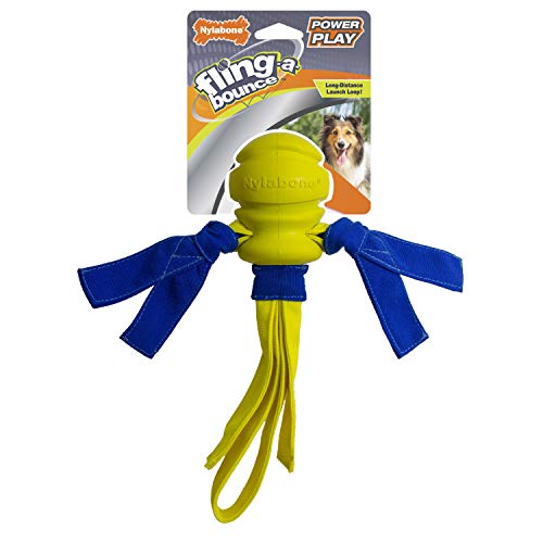 Nylabone Power Play Dog Fetch Toys Fling-A-Bounce Medium (1 Count)