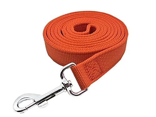 Strong Nylon Dog Leash With 2-Layer, 4 Ft/ 6 Feet Long, 1 Inch Wide For Medium Large Dogs (1' X 7 Ft, Orange)