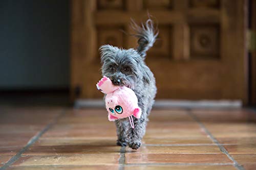 Multipet 43235-1 Knobby Noggins Koala Dog Toy