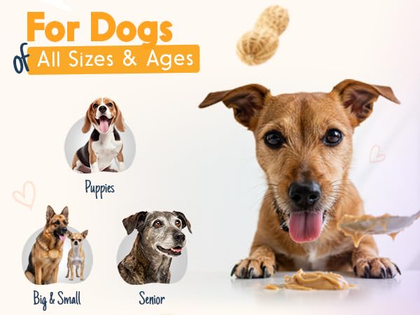 BUDDY BUDDER Red Velvet + Brownie Butter + Gimme SMores, 100% Natural Dog Peanut Butter, Healthy Dog Treat, Made in USA (Set of