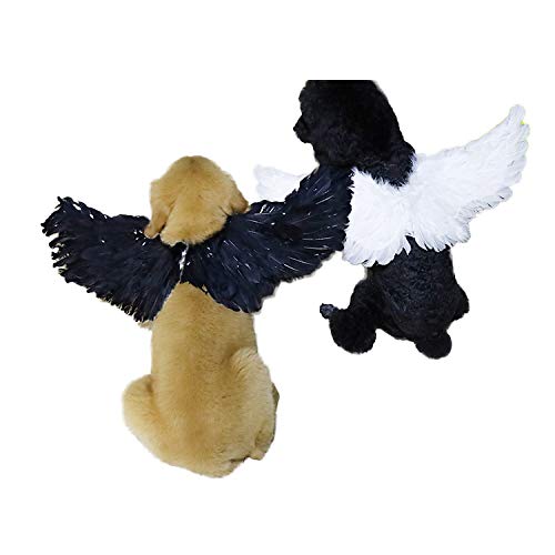 Weeh Pet Halloween Costume Cosplay Angel Devil Black White Wing For Dog Cat Rabbit Piggy - Funny Gift At Halloween Party Anime Theme Birthday Christmas (White, Large)