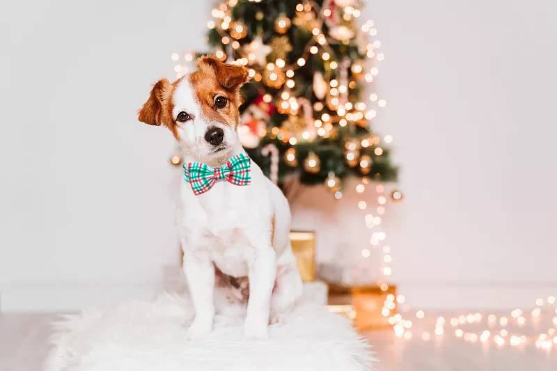 Lionet Paws Dog Collar With Bowtie, Detachable Bowtie For Dressing Up, Large, Red&Green Grid, Cotton, Buckle Closure, Ideal For