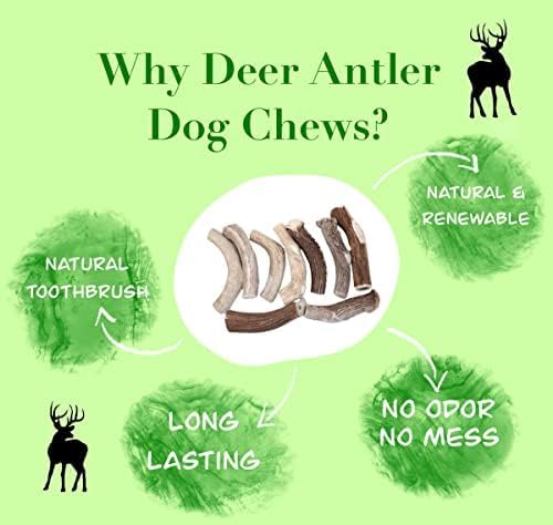 Deer Valley Dog Chews (Large 3 Pack, 6-7 Inches) Premium Deer Antler for Dogs - Ethically-Sourced and Irresistible Dog Chew Toy