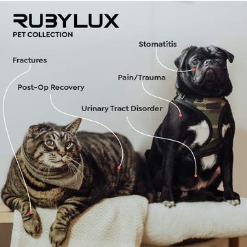 RubyLux Near Infrared Bulb for Pets - 1 Pack, Ideal for Heat Therapy and Wellness
