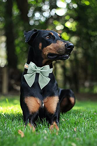 Unique Style Paws Silk Green Color Dog Collar Adjustable Durable Dog Collar With Bow Wedding Bowtie Collar For Small Puppy And Cats