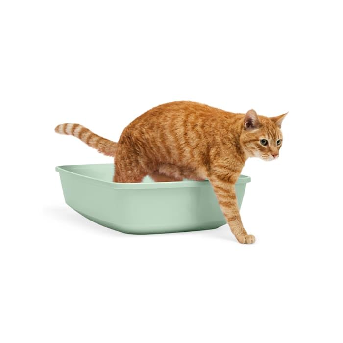 So Phresh Open Cat Litter Box Mint Large 19.5 L X 14.8 W X 4.3 H