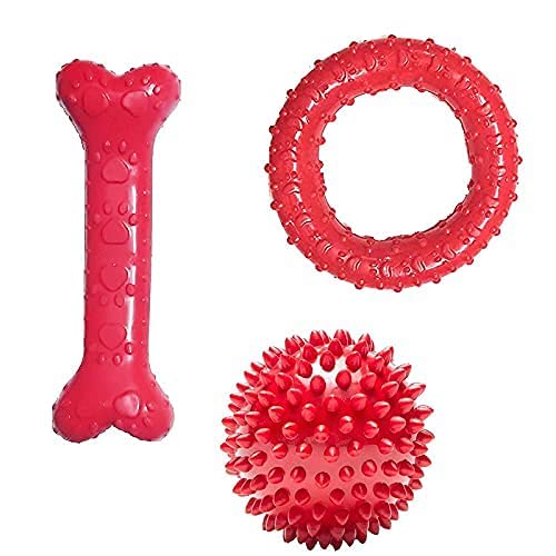 RvPaws Chew Toys for Dog + Rubber Chew Toy Combo + Paw Print Bone + Rubber Chew Ring + Spike Ball, Playing Chewing Interactive D