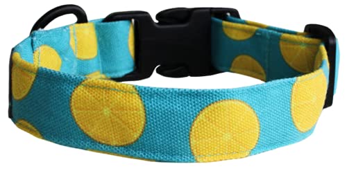 Lana Paws Citrus Punch SkinFriendly, Lightweight & Durable Fabric Dog Collar, Medium, 18 X 1 Inch