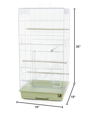 Prevue Pet Products SPECONO1818H-SG Tall Tiel Cage, Sage Green