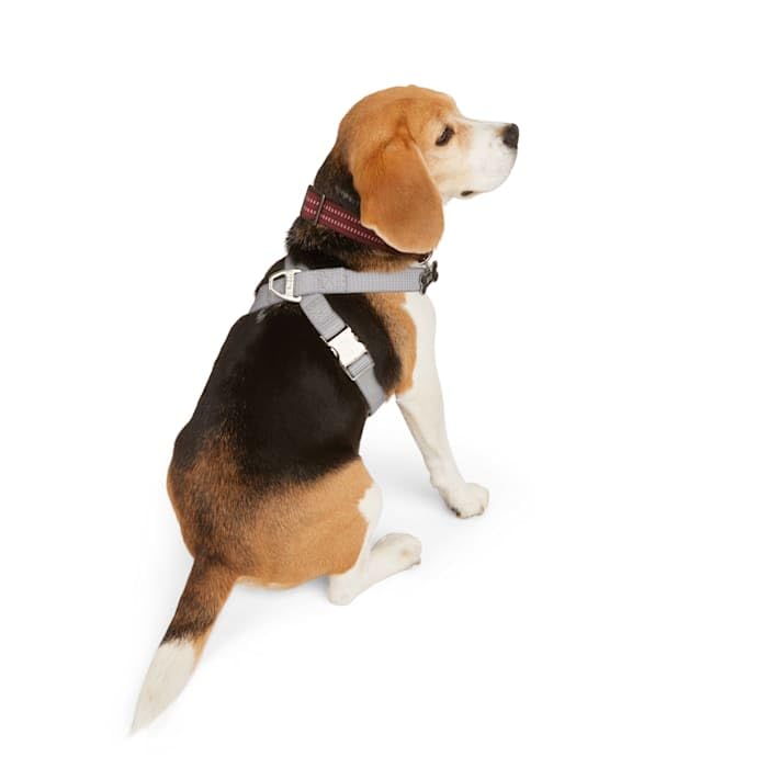 Reddy Grey Reflective Dog Harness Large