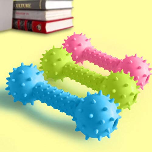 Dog Trust Dog Squeaky Rubber Non Toxic Sound & Chew Bone Toy  Pink