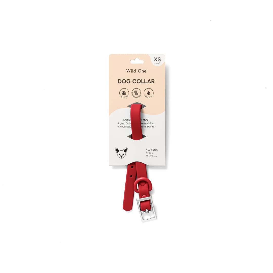 Wild One Collar - X Small - Strawberry