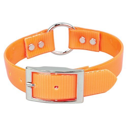 Omnipet Sunglo Ring-In-Center Dog Collar, 3/4' Wide, Orange, Fits 11.5'- 15' Neck Sizes, Vibrant Colors & Tough Construction 