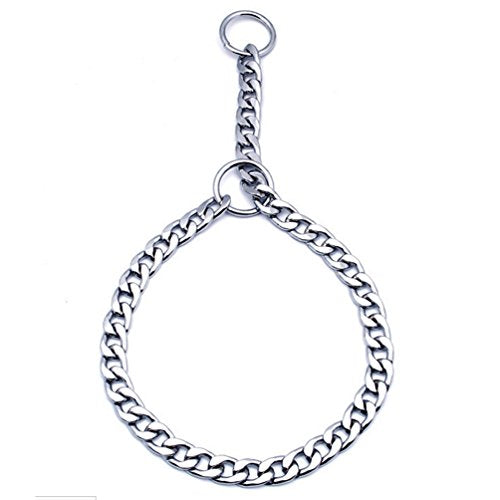 Sgoda Chain Dog Training Choke Collar, 24 In, 3.5 Mm