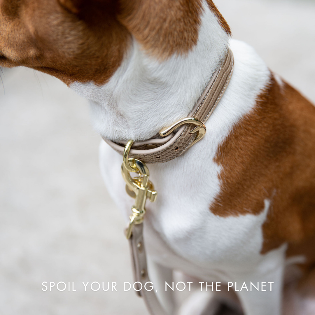 Leash 4ft - Vegan Leather - Milan