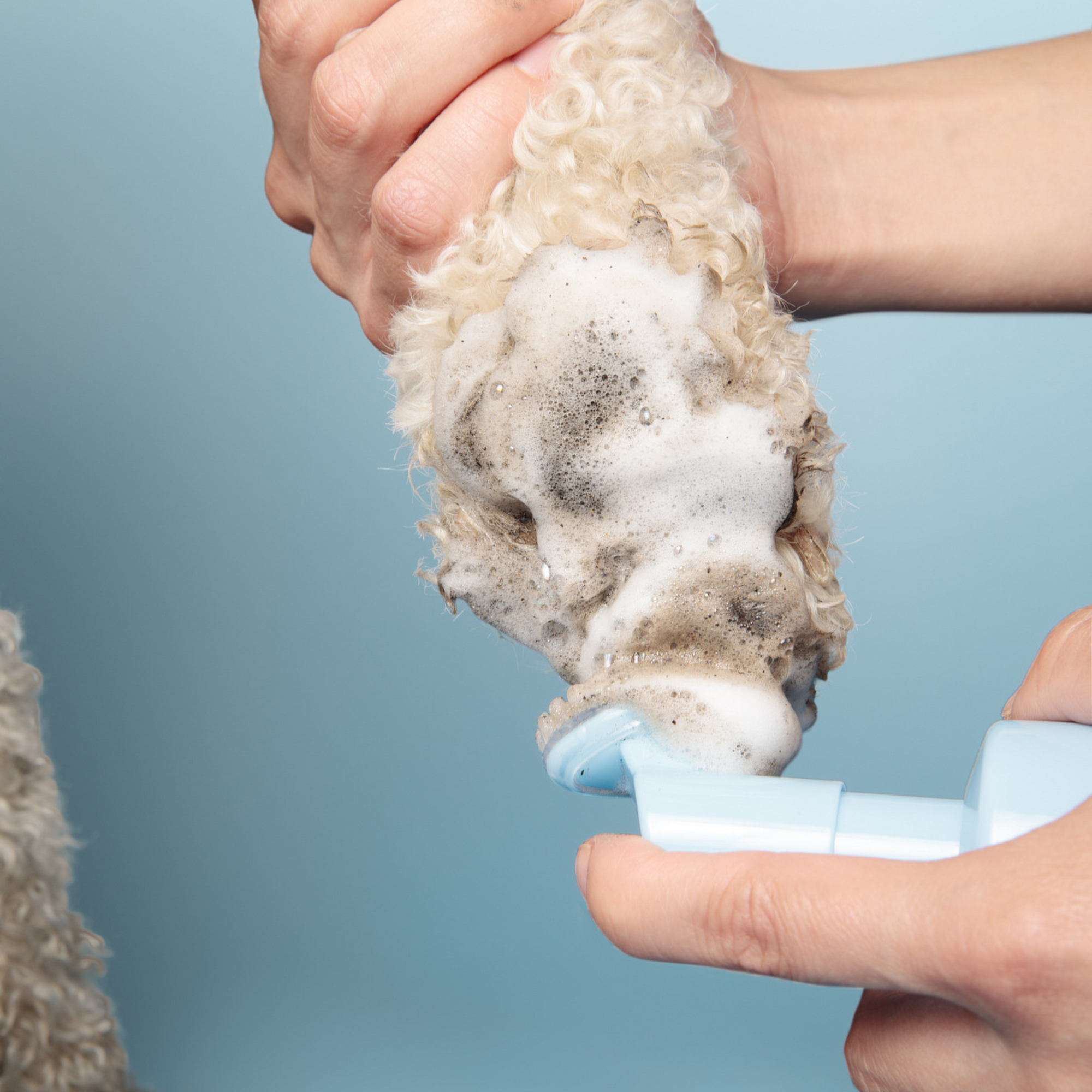 Paw Cleansing Foam Dog Paw Cleaner – Lick-Safe, Hydrating Formula with Built-In Brush Head