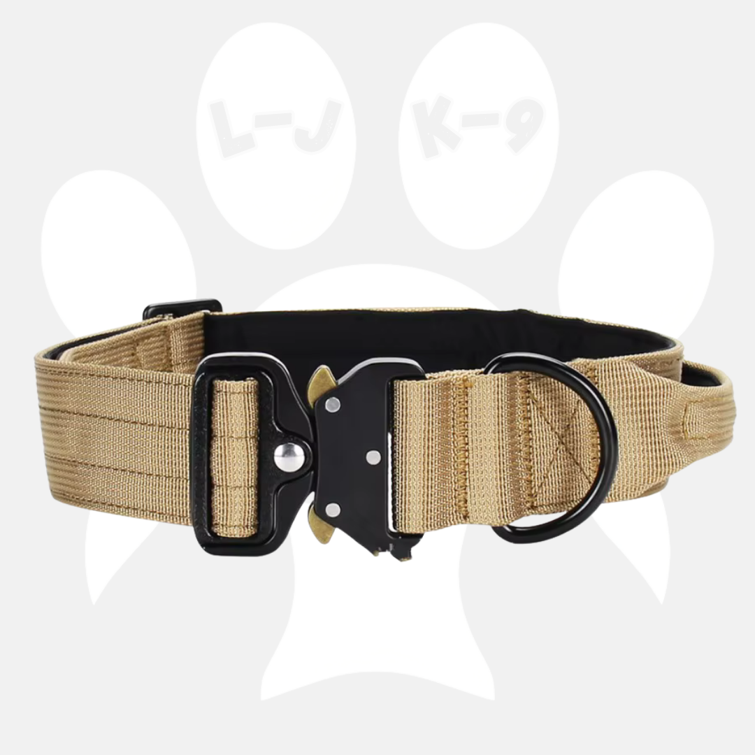Sleek-Lux Padded Dog Collar