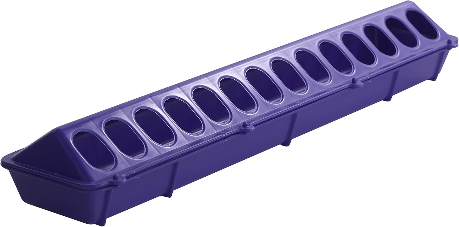 Little Giant 20 Plastic Flip-Top Poultry Ground Feeder, Purple Chickens Birds 2-Pack