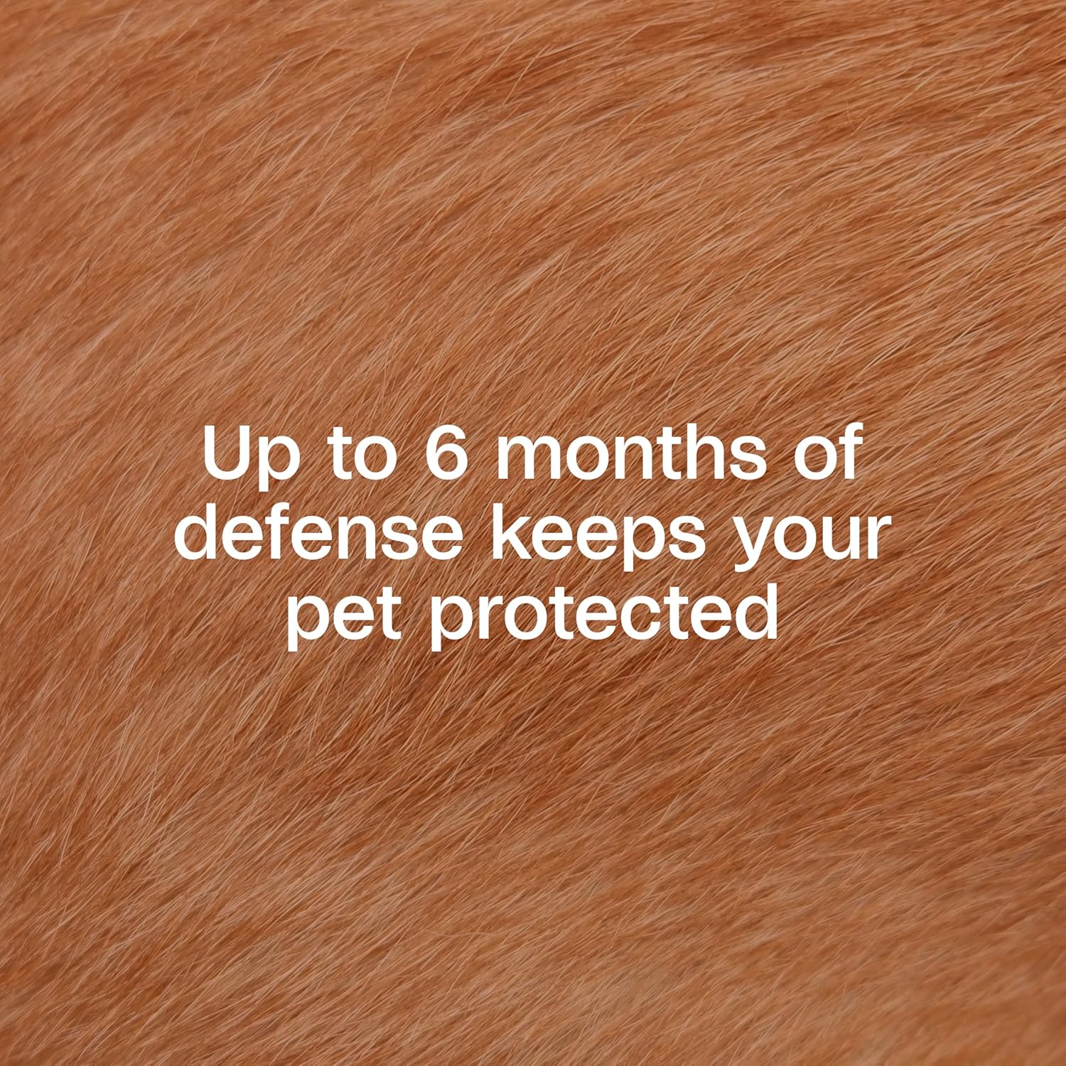 Adams Plus Flea & Tick Collar for Dogs & Puppies One Size Fits All 4-Count