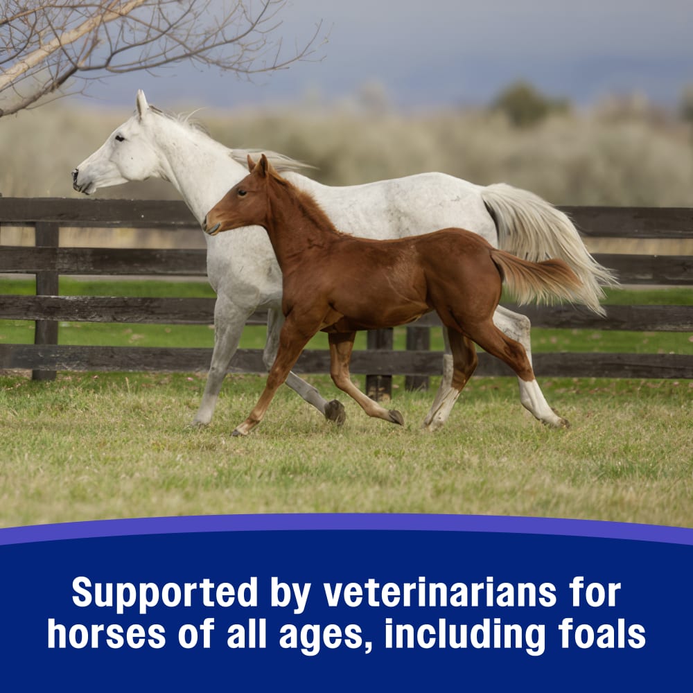 Farnam SandClear Psyllium Crumbles for Horses Digestive Support Sand Colic Risk 10 lbs.