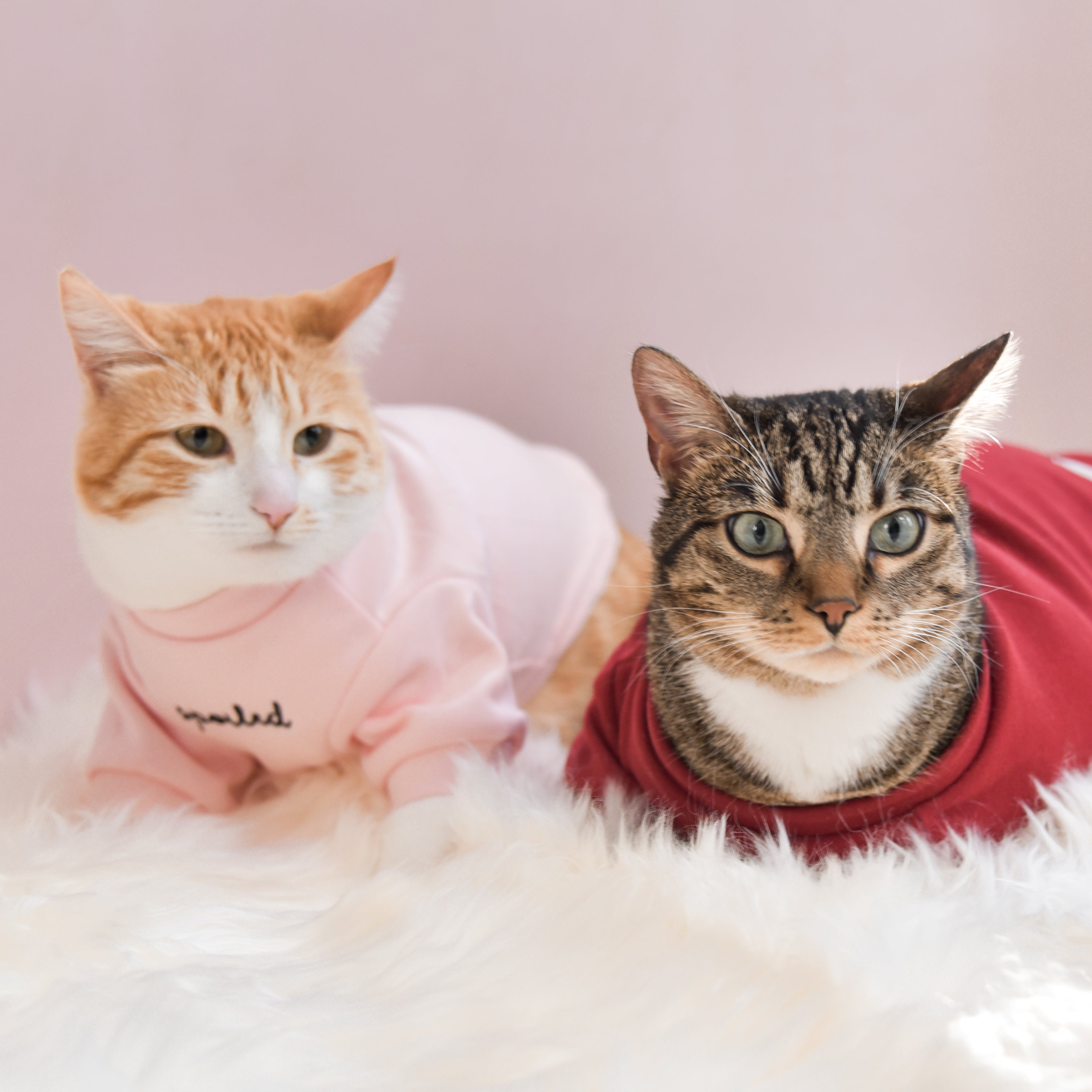 Fur Elise Mock Neck Shirt - Blush