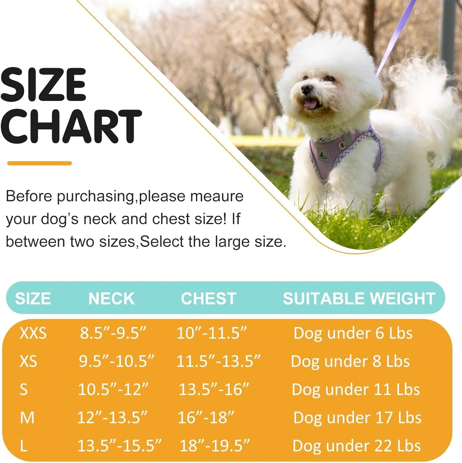 Reflective Harness and Leash Set for Small Dogs & Cats