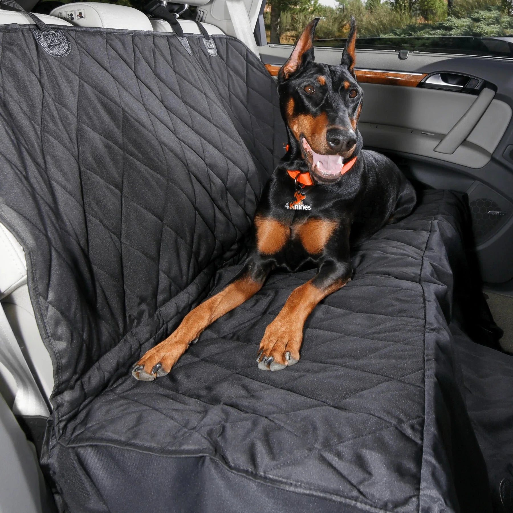 Dog Rear Seat Cover with Hammock - XL