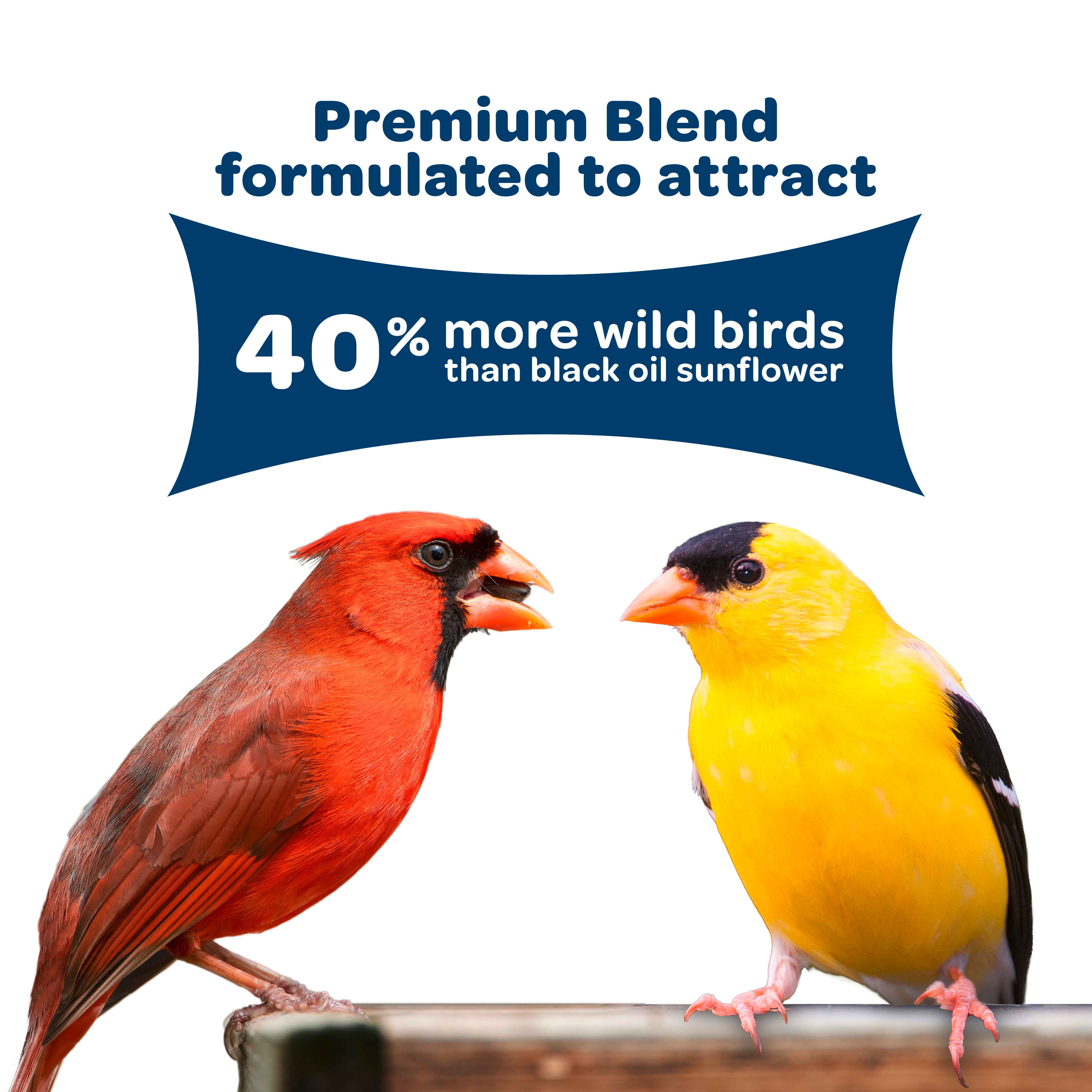 Kaytee Birders' Paradise Blend 20lb Wild Bird Seed for Cardinals, Finches & Songbirds