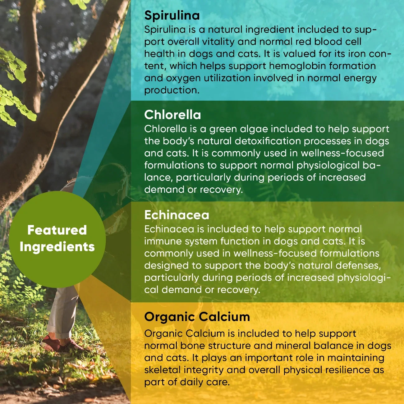 Spirulina & Chlorella
